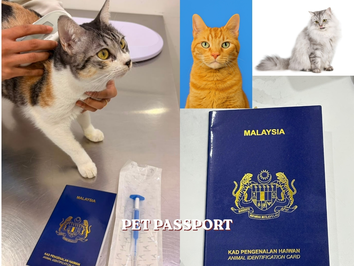Pet Passport & Microchipping Service 
