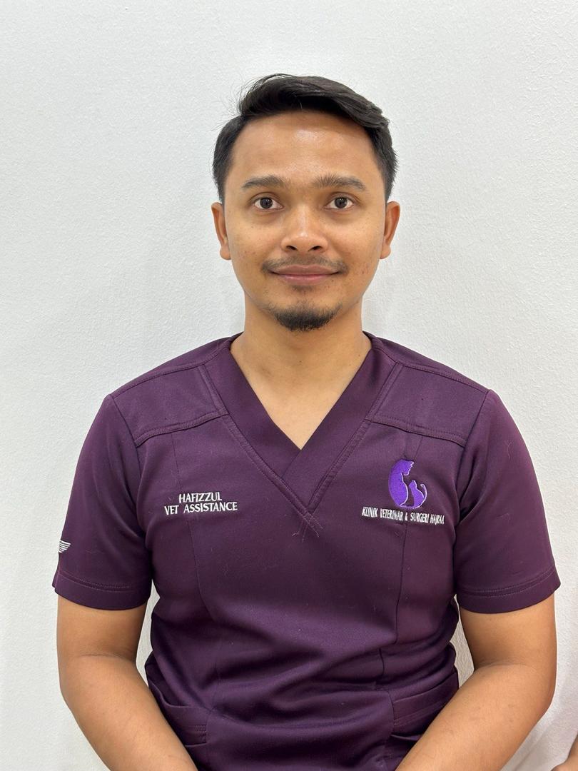 Hafizzul Fikri