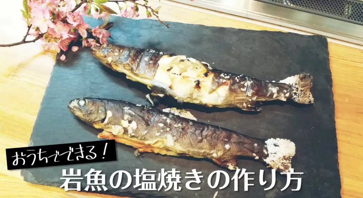 イワナの塩焼きの作り方とコツを養殖場が解説！家で川魚の塩焼きを楽しむには？