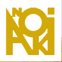 Anoki logo