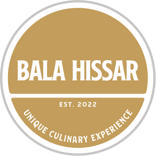 Bala Hissar logo