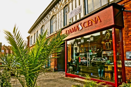 Damascena logo