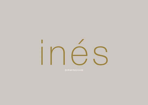 ines logo