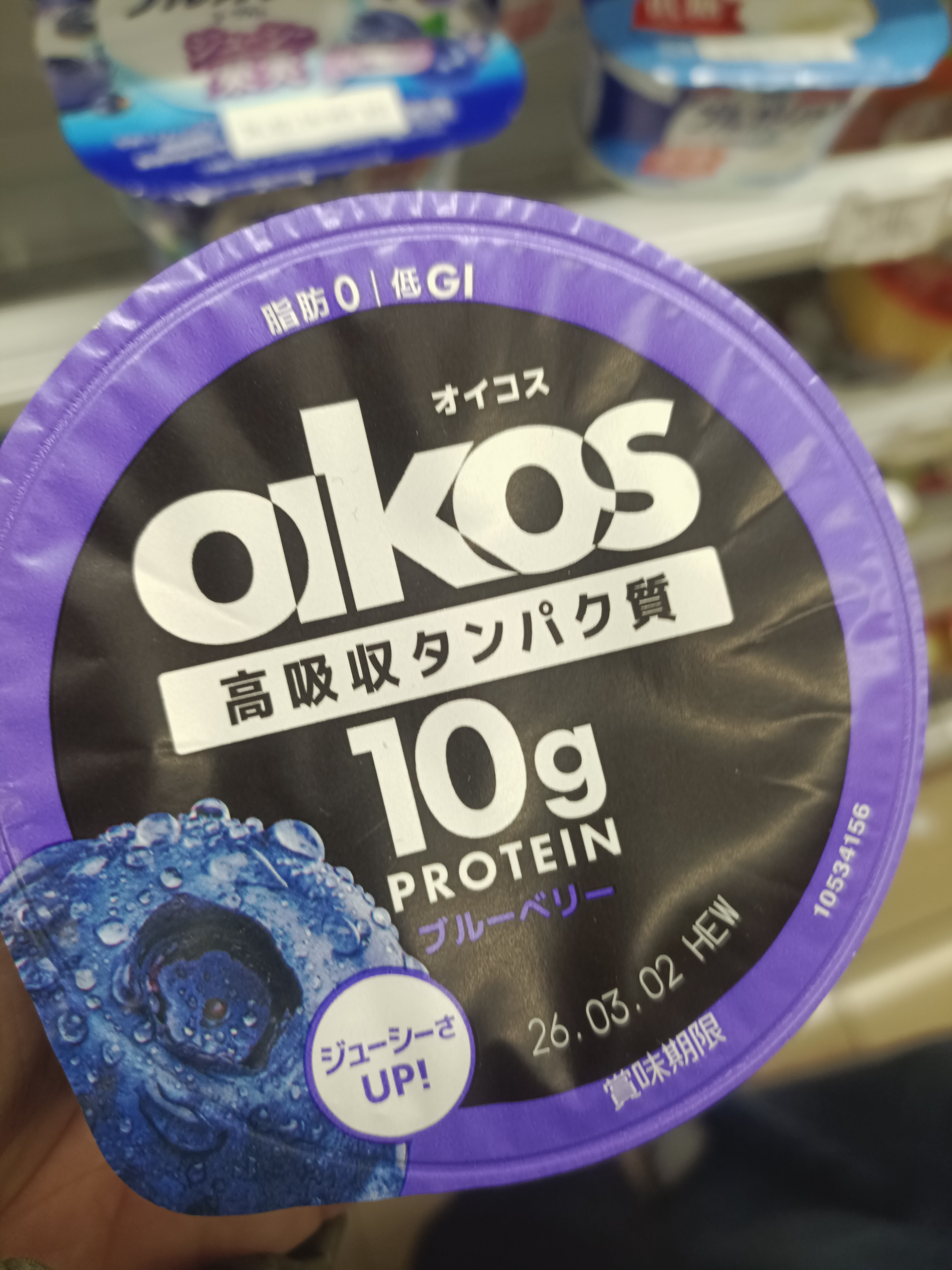 Oikos Blueberry