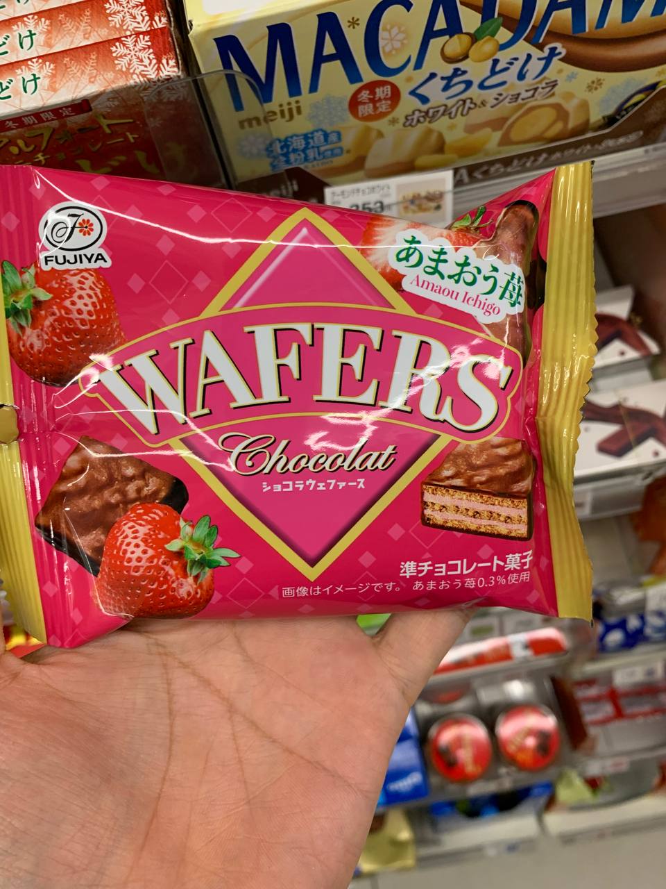 FUJIYA WAFERS Chocolat (Amaou Strawberry)