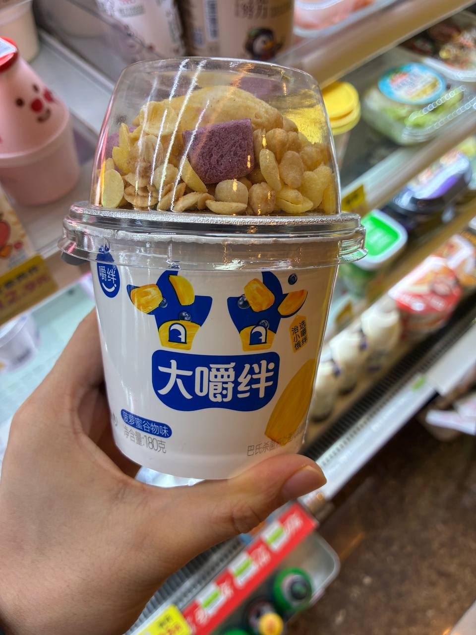 "Da Jiao Ban" Yogurt with Granola Topping