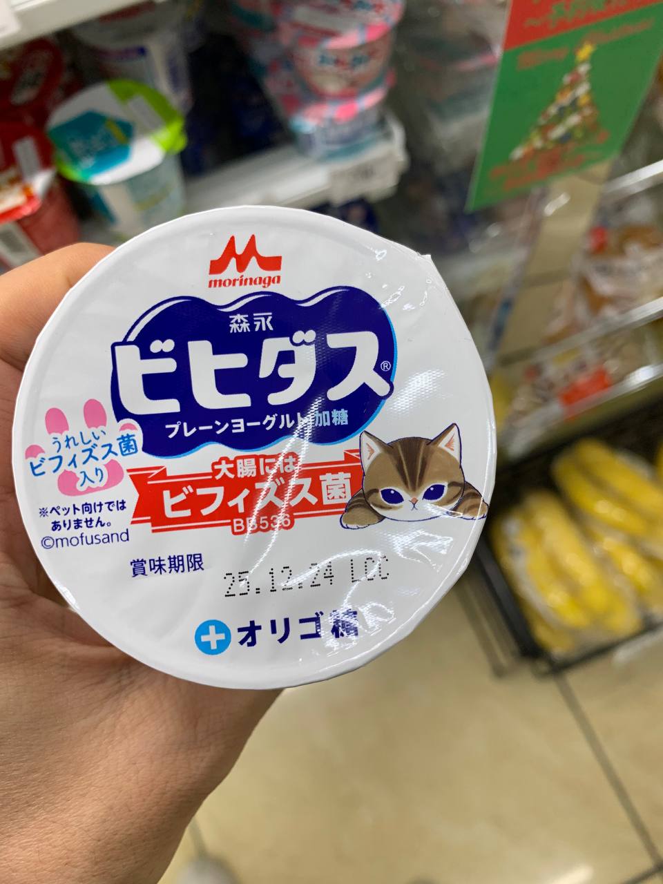 Morinaga Bifidus Plain Yogurt