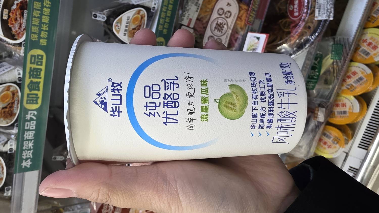 Pure Premium Yogurt – Meteor Melon Flavor