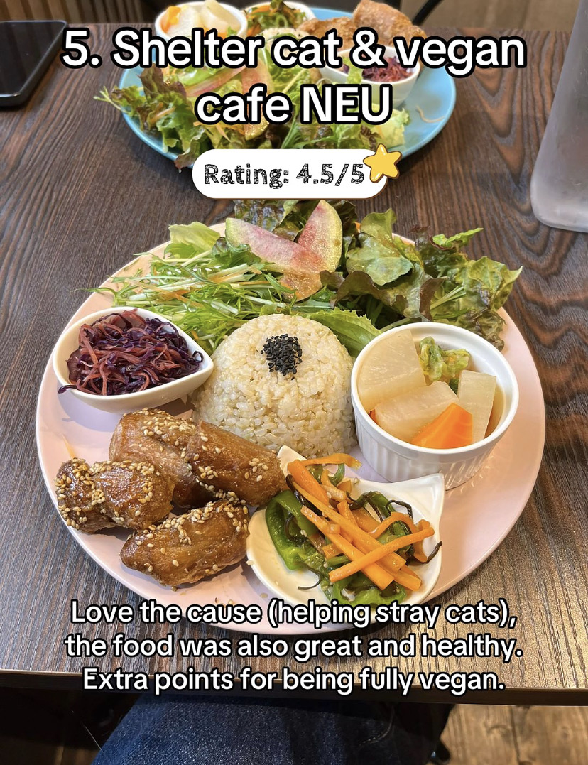 shelter cat ＆ VEGAN café “neu” community photo 1
