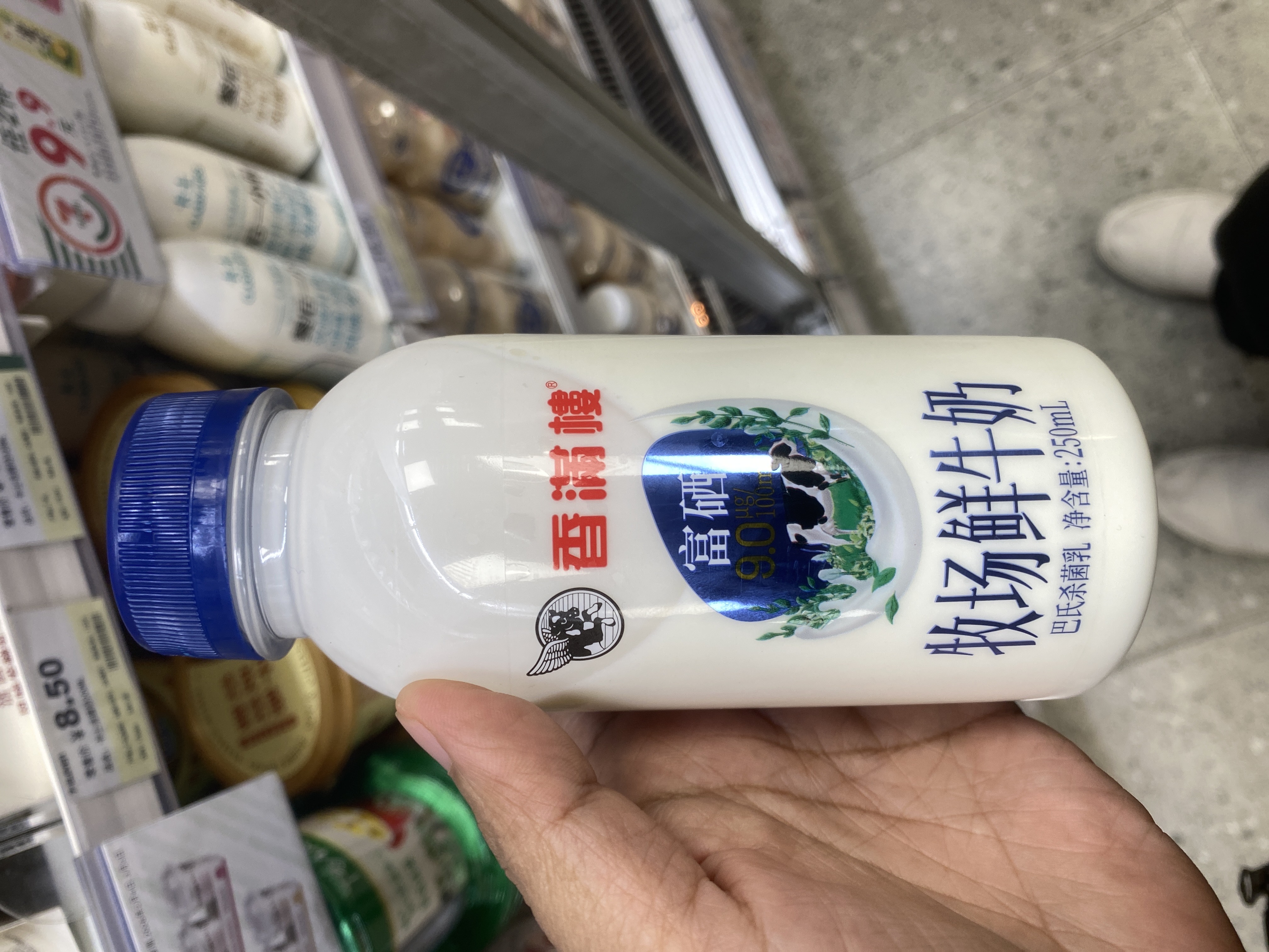 Xiangmanlou Fresh Milk