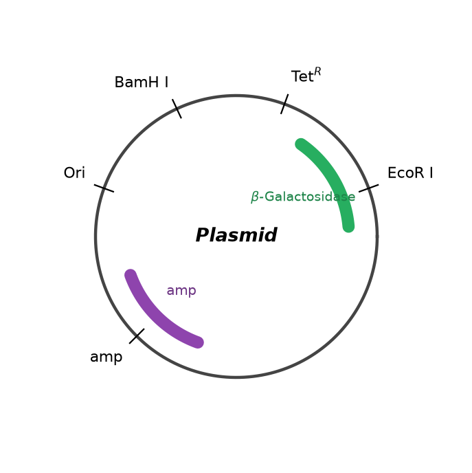 Biotechnology: Principles and Processes NEET PYQ diagram