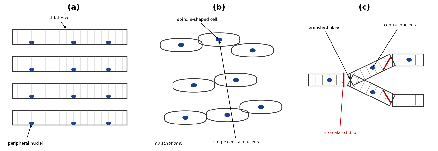 Structural Organisation in Animals NEET PYQ diagram