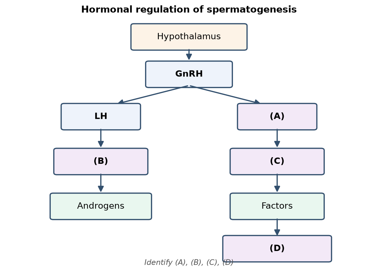 Human Reproduction NEET PYQ diagram