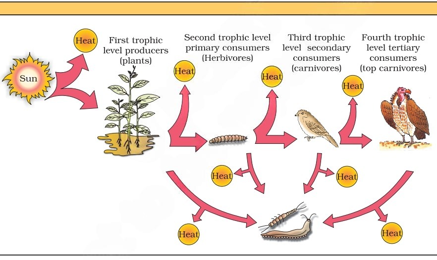 NEET question diagram