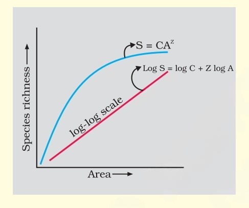NEET question diagram