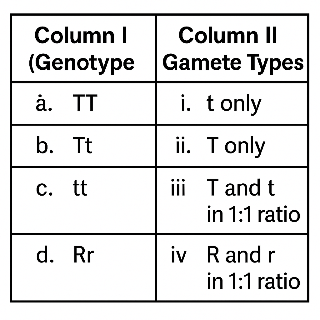 NEET question diagram