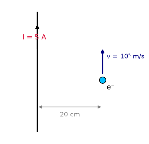 Moving Charges And Magnetism NEET PYQ diagram