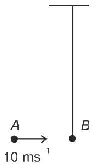 Work, Energy And Power NEET PYQ diagram