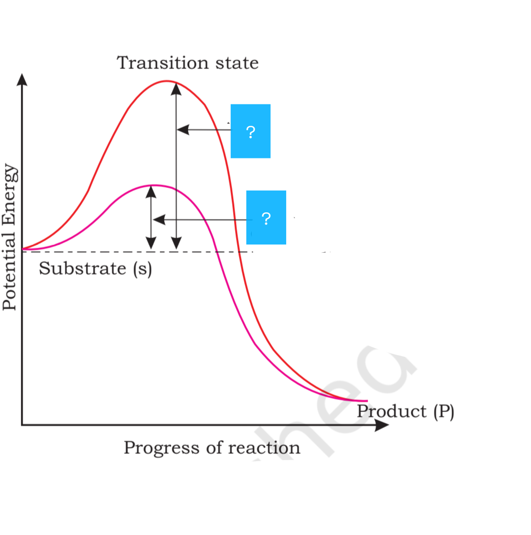 NEET question diagram
