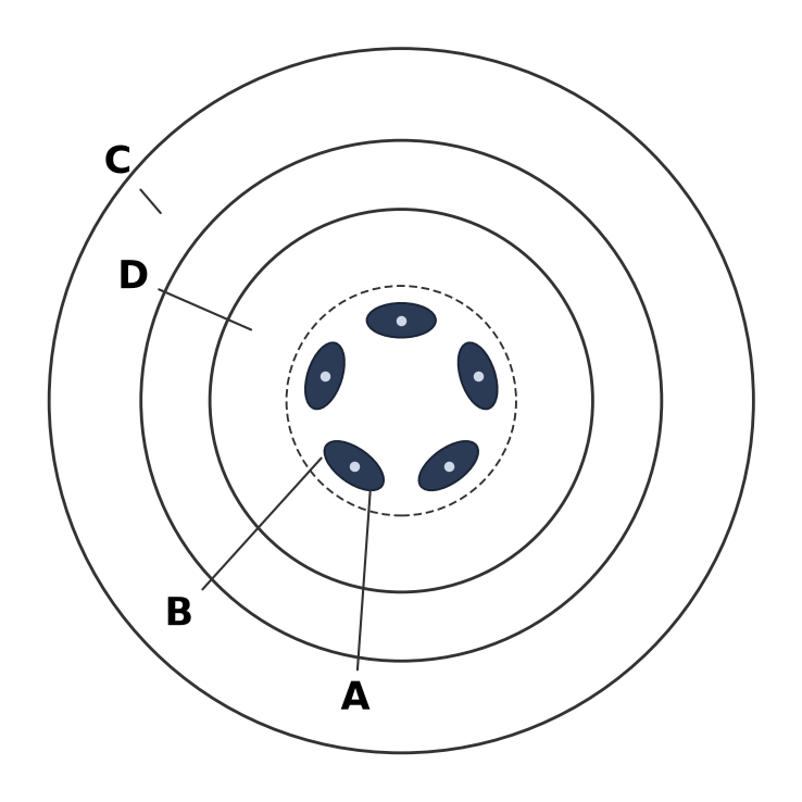 Sexual Reproduction in Flowering Plants NEET PYQ diagram