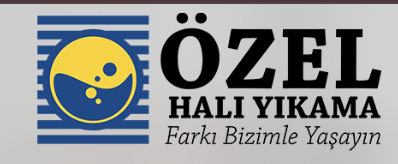 özel halı yıkama kapak görseli