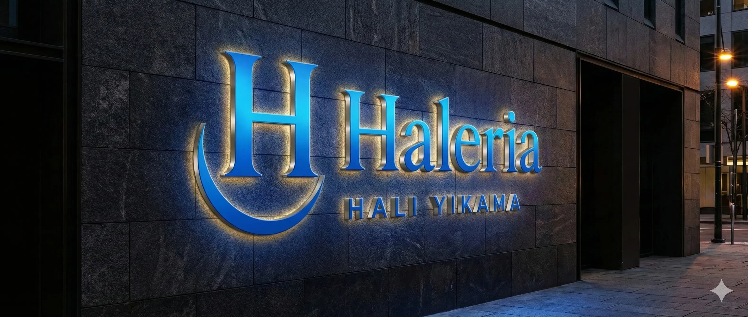Haleria Halı Yıkama kapak görseli