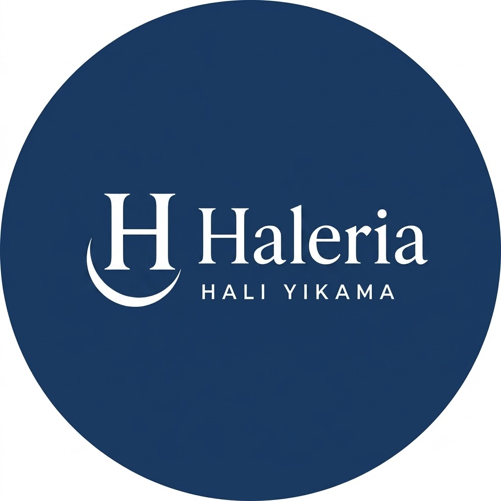 Haleria Halı Yıkama logosu