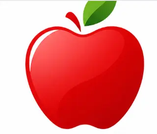 ELMA HALI YIKAMA logosu
