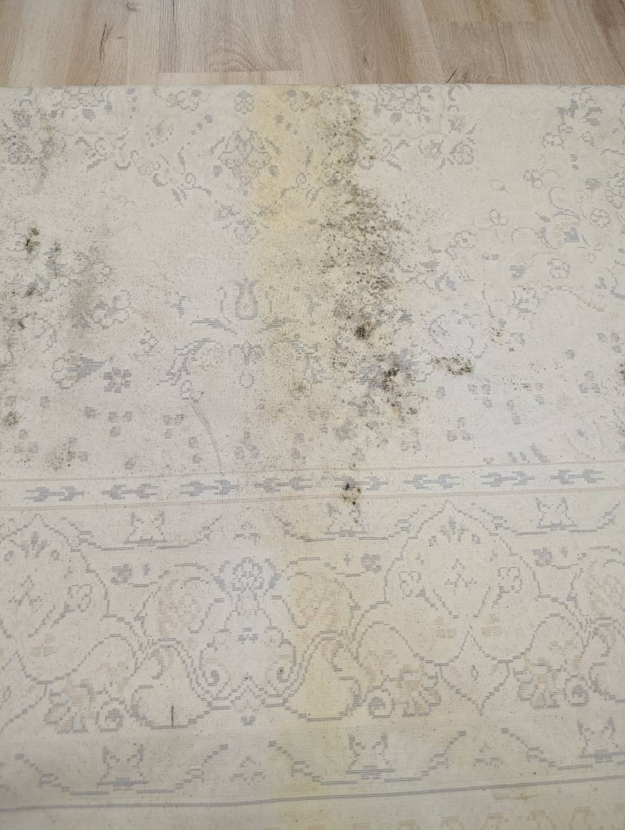 Yorum fotoğrafı