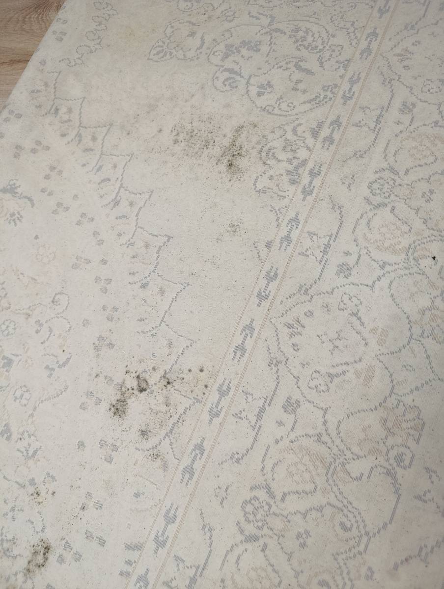 Yorum fotoğrafı