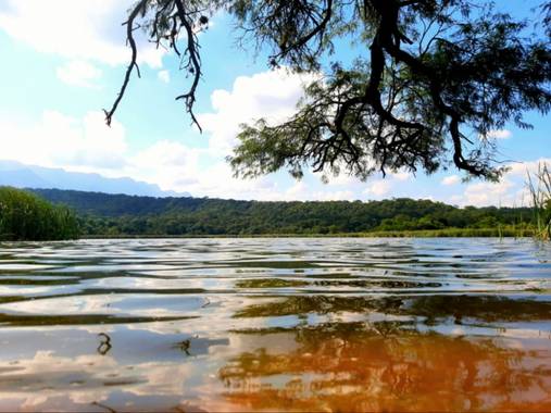 Okenday121 en Hamelin: Paisaje  (Yacuiba), Paisaje laguna totoral#Bolivia