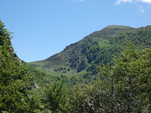 mariale en Hamelin: Paisaje  (Caso), 📸 #marialemdza
💚 🌿🌳🌿💚
#CumpleHamelin
#Naturaleza #BellezaNatural #Asturias  #Montaña #trees #árboles #forest #bo...