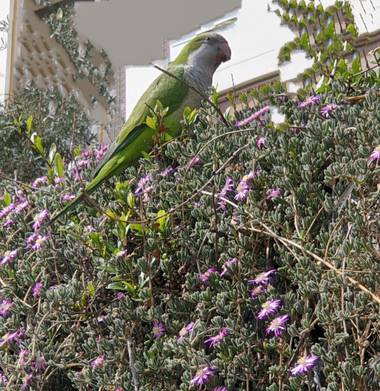 Yamira Guijarro  en Hamelin: Paisaje, 🦜 Naturaleza,  paz, vida.
#FelizVida 💖 
#abundanciadevida.es 