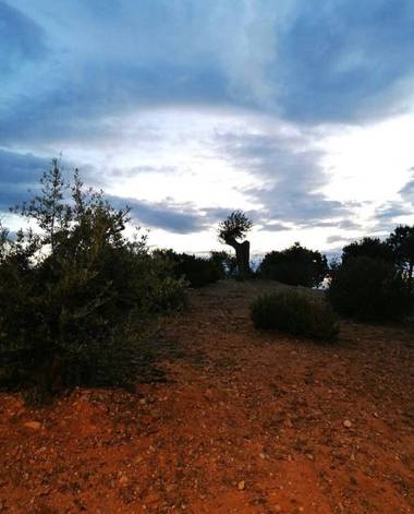 Fedilop en Hamelin: Paisaje  (Madrid), Bosque de la música 