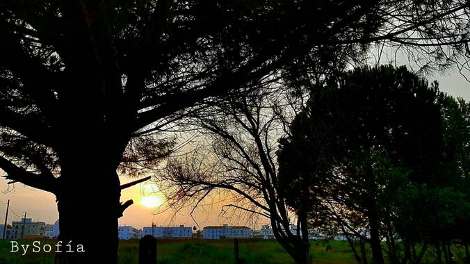Marisofigonzalez en Hamelin: Paisaje, #sunset 