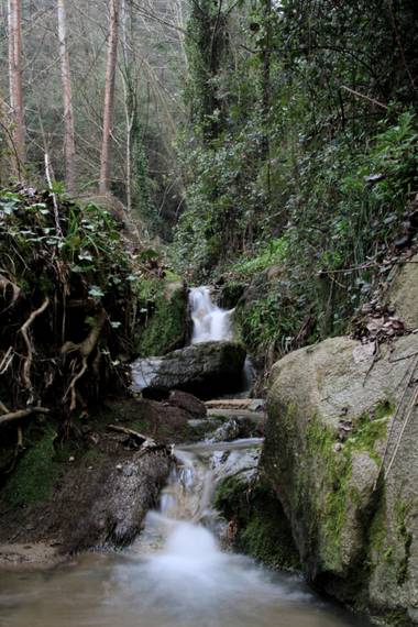 Rricoparrillas en Hamelin: Paisaje  (Dosrius), #dosrius 