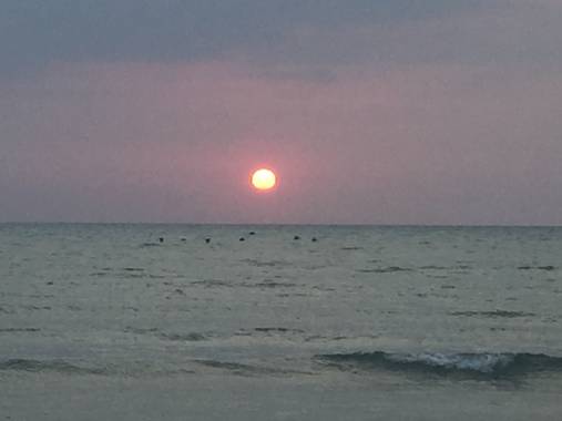 mauricioverbel28 en Hamelin: Paisaje  (San Onofre), #pisajes20 