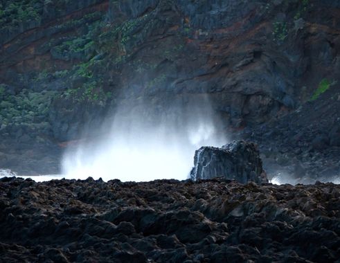 3pnoe6 en Hamelin: Paisaje  (El Pinar de El Hierro), #elhierro#islasalvage#isladecontrastes#colores