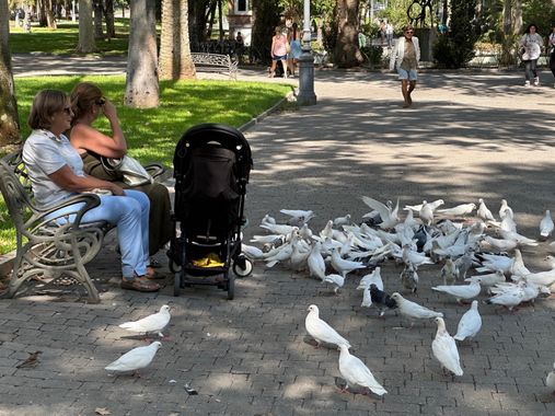 Fernandosalado58 en Hamelin: Paisaje  (Córdoba), #Fotografia: paisaje urbano,(Córdoba)#