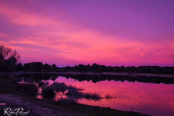 Rubén Pascual Fotógrafo en Hamelin: Paisaje  (Cantalejo), Atardecer en Las Lagunas de Cantalejo 