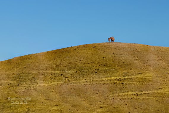 Antonio.rsoto.66 en Hamelin: Paisaje  (Huelva), #Minimalismo 
