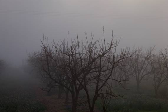 Arenesraquel en Hamelin: Paisaje, #niebla 