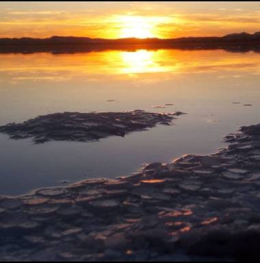 Mmeerkens en Hamelin: Paisaje  (Torrevieja), Los atardeceres en el parque de las salinas rosas(que no siempre) de Torrevieja