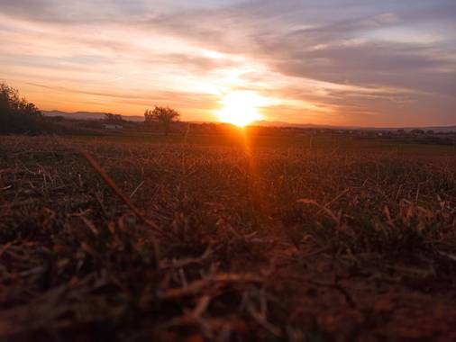 diegogordorivero en Hamelin: Paisaje  (Moraleja), Extremadura