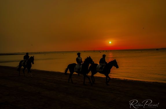 Rubén Pascual Fotógrafo en Hamelin: Paisaje  (Sanlúcar de Barrameda), Atardece, terminó la carrera y es hora de recogerse 
