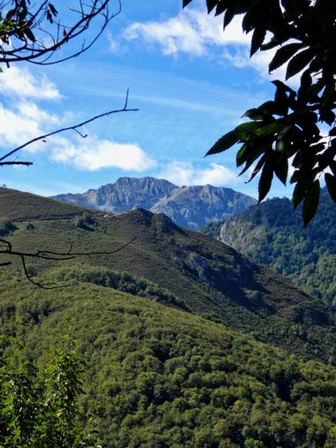mariale en Hamelin: Paisaje, 📸 #marialemdza
jueves, 08/09/2022
#Asturias #PrincipadoDeAsturias
#Naturaleza #BellezaNatural  #Montaña  #green #mountains #...