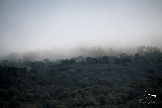 Toni Sempa en Hamelin: Paisaje  (Santa Ana la Real), Ruta de los Libros y Riscos de Levante.
#landscape #paisaje #rurales #rural #andalucia #huelva  #arbol...