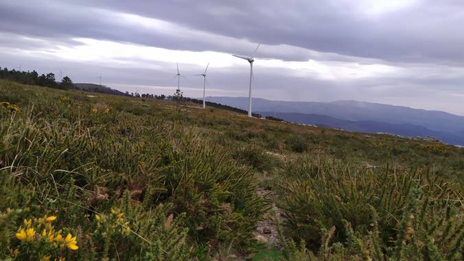 David en Hamelin: Paisaje  (A Cañiza), #Galicia #España
