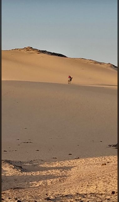 isabeljl0402 en Hamelin: Paisaje, #Egipto