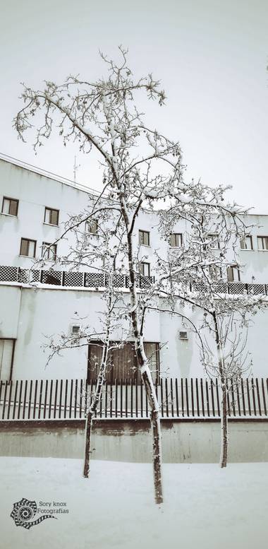 Soryknoxfotografias en Hamelin: Paisaje  (Móstoles), #belloytenebroso#invierno20#nieve#stylopropio#@soryknoxfotografias
